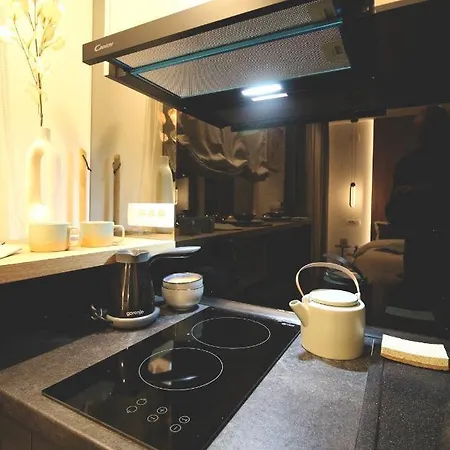 Apartment Top Room Sabac