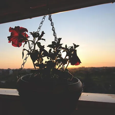 Apartamento Top Room